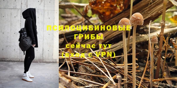 соль курить ск Ельня