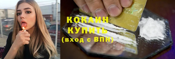 тгк Елизово
