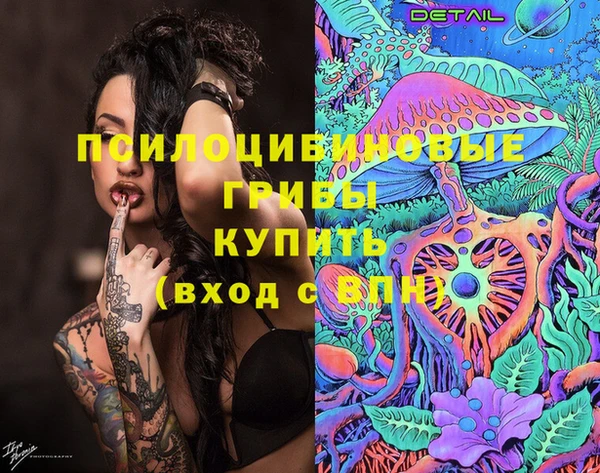 соль курить ск Ельня