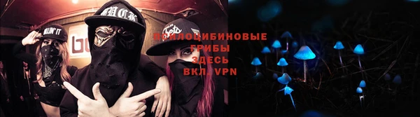 соль курить ск Ельня