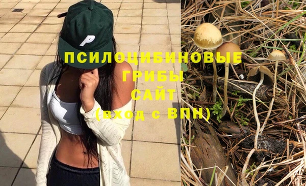 соль курить ск Ельня