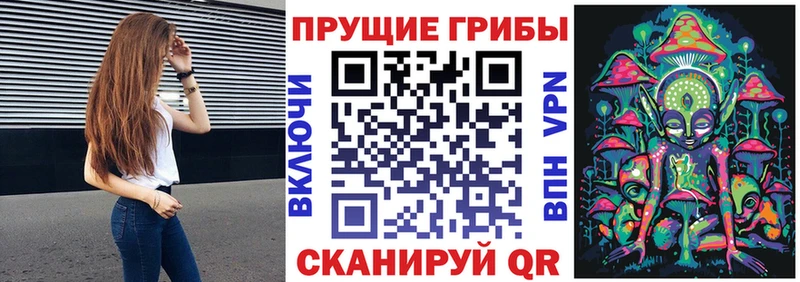 Псилоцибиновые грибы мицелий  Купить где  Болхов 
